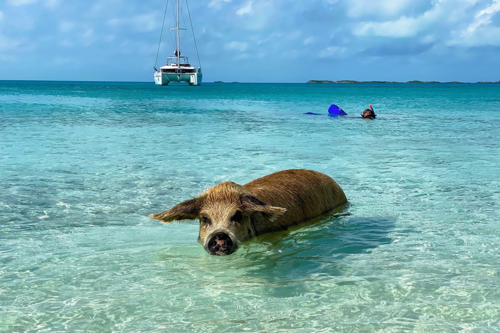 Bahamas Calling – 14-Day Sailing Adventure in the Caribbean Aquarium