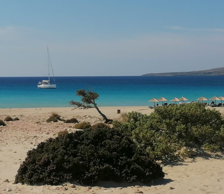 F448261E-AD3A-4A21-AD75-73716EE354D6